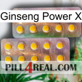 Ginseng Power X new10